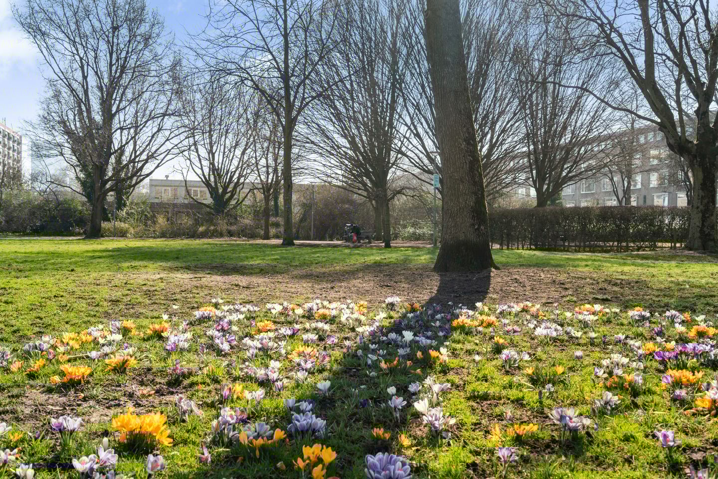 Foto 40 van Abraham Kuyperlaan 71-B02