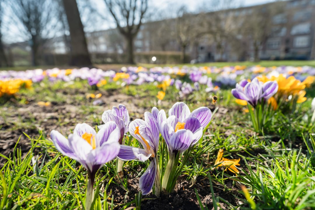 Foto 41 van Abraham Kuyperlaan 71-B02