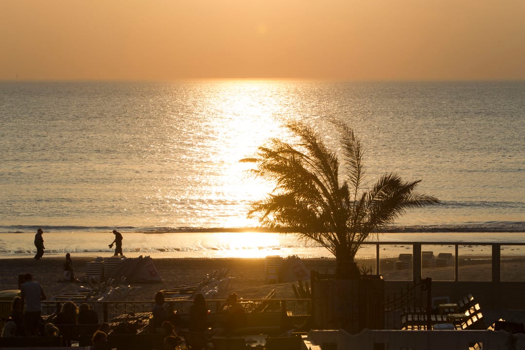 Photo 17 of Burgemeester van Alphenstraat 59-F2