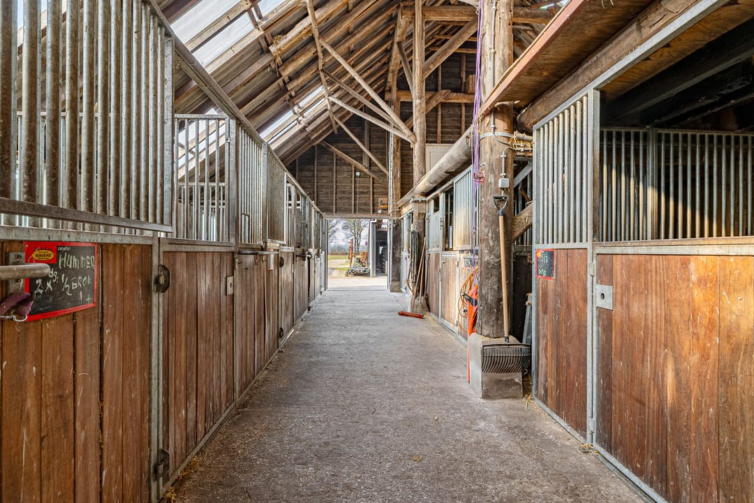 Foto 56 van Zuideinde 10