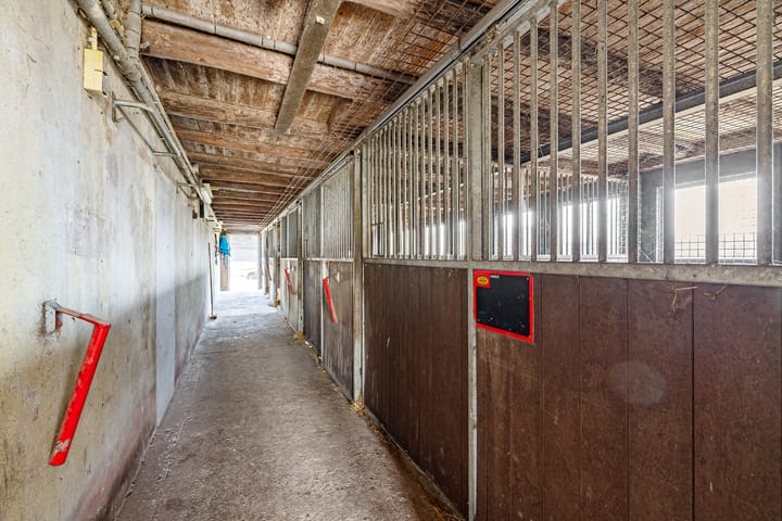 Photo 58 of Zuideinde 10