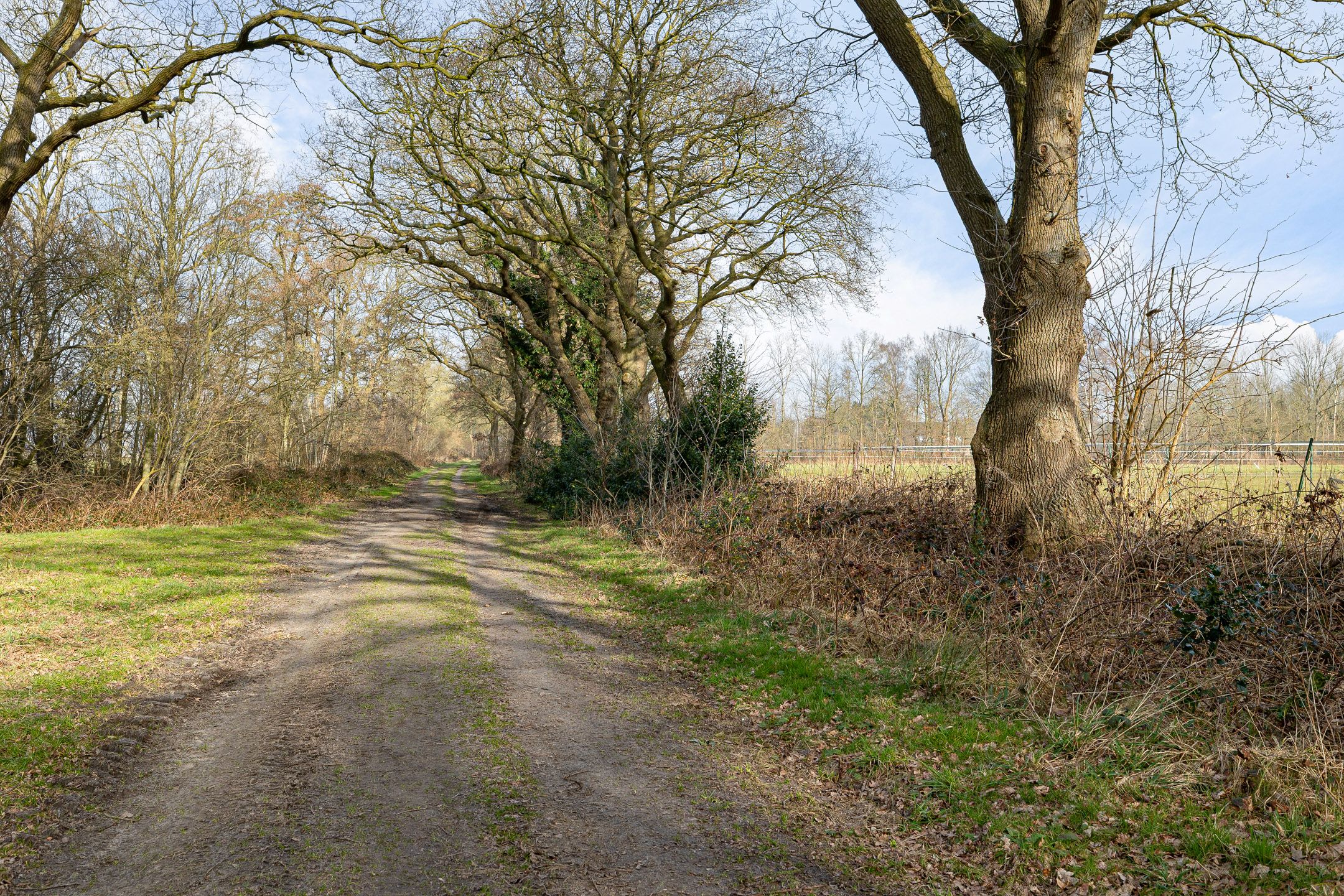 Foto 69 van Zuideinde 10