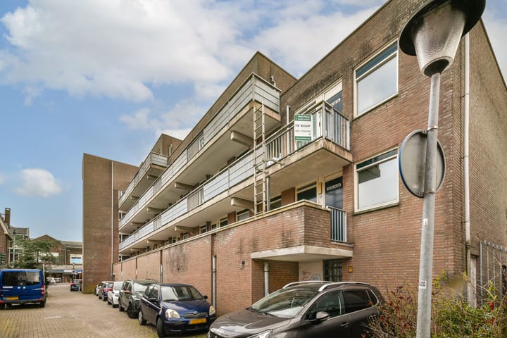 Foto 2 van Hazepad 41