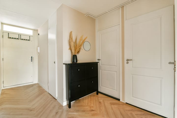 Photo 8 of Hazepad 41