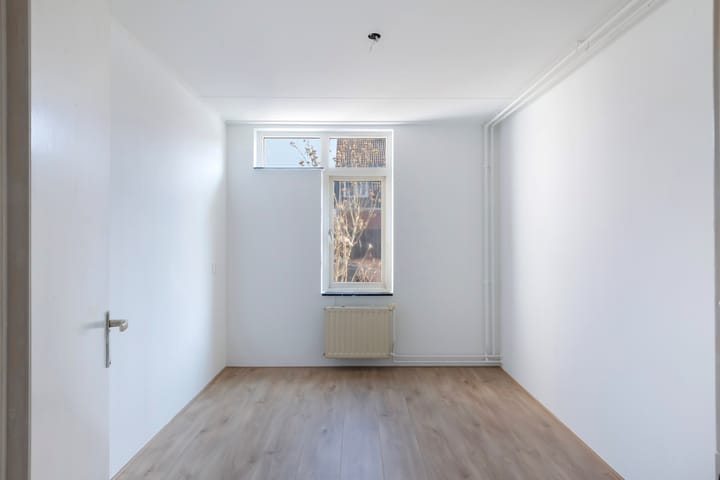 Foto 5 van Bazeldijk 3