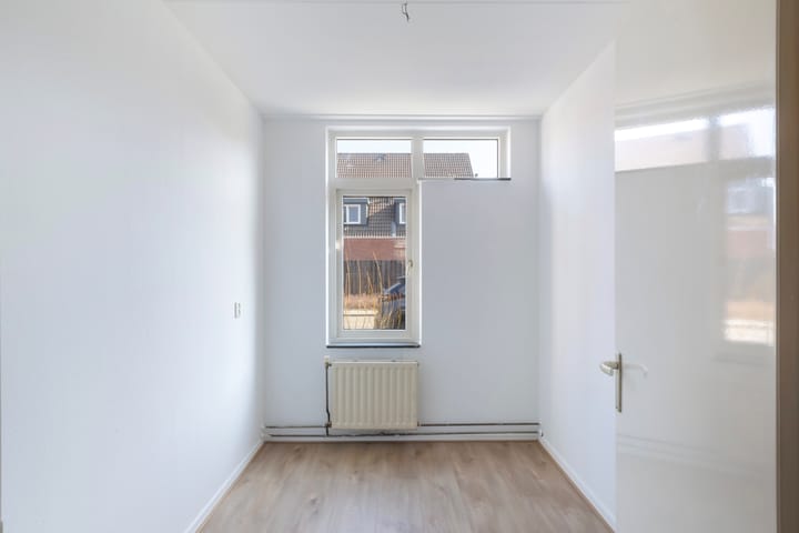 Foto 6 van Bazeldijk 3