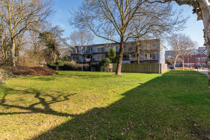 Foto 11 van Bazeldijk 3