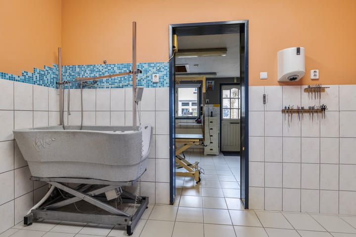 Foto 35 van Buys Ballotstraat 18