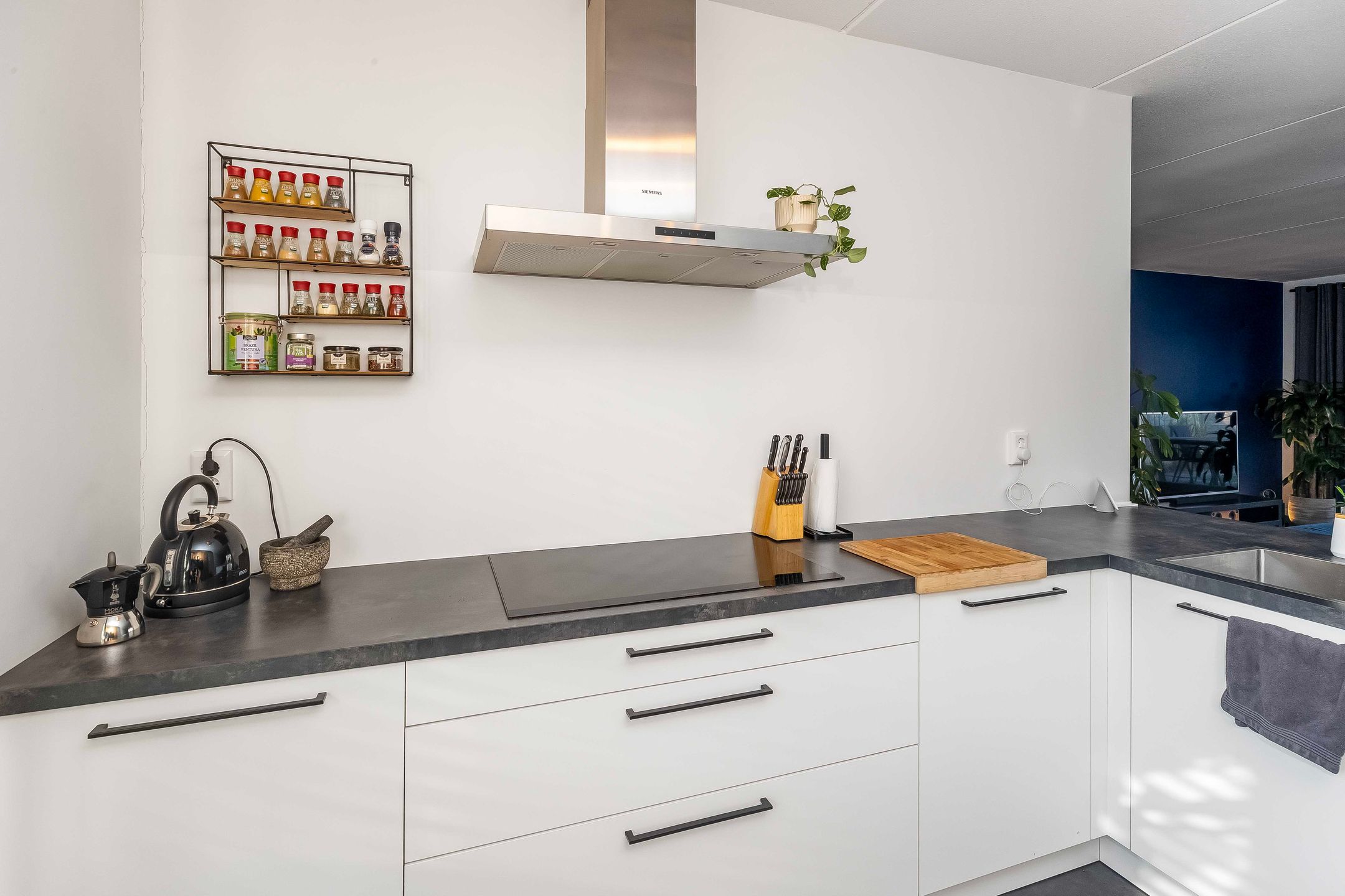 Foto 12 van Kattestart 44