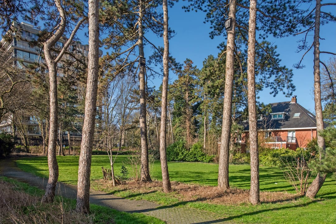 Photo 26 of Treubstraat 10-F026