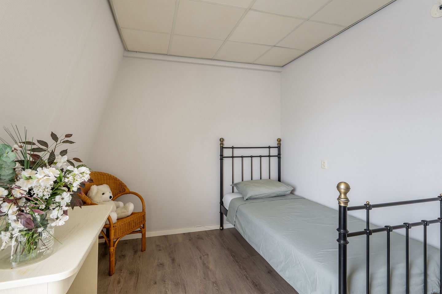 Foto 25 van Platanendreef 204