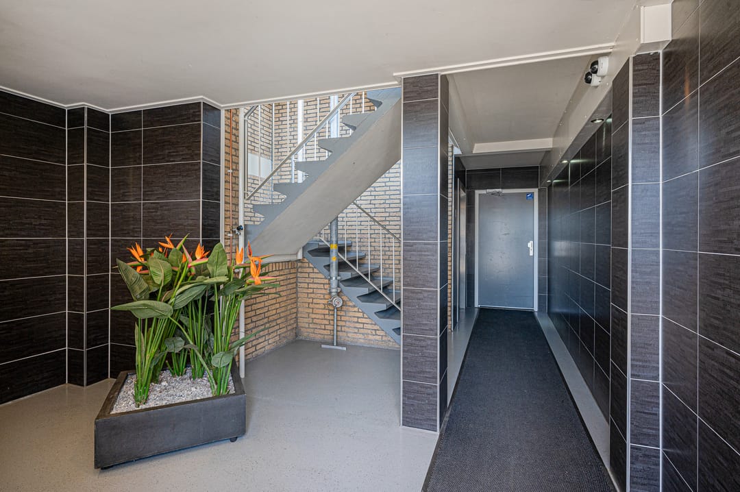 Foto 7 van Maria in Campislaan 33