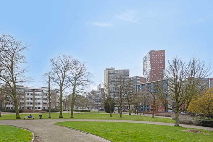 Foto 31 van Kronenburgersingel 181