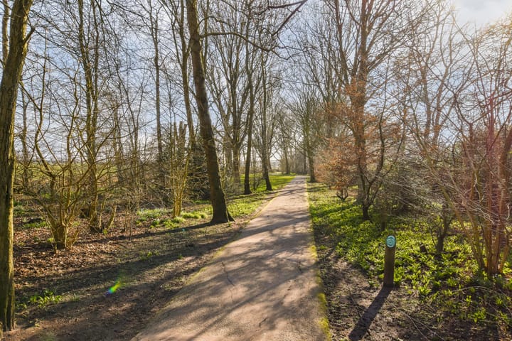 Foto 19 van Orinoco 6