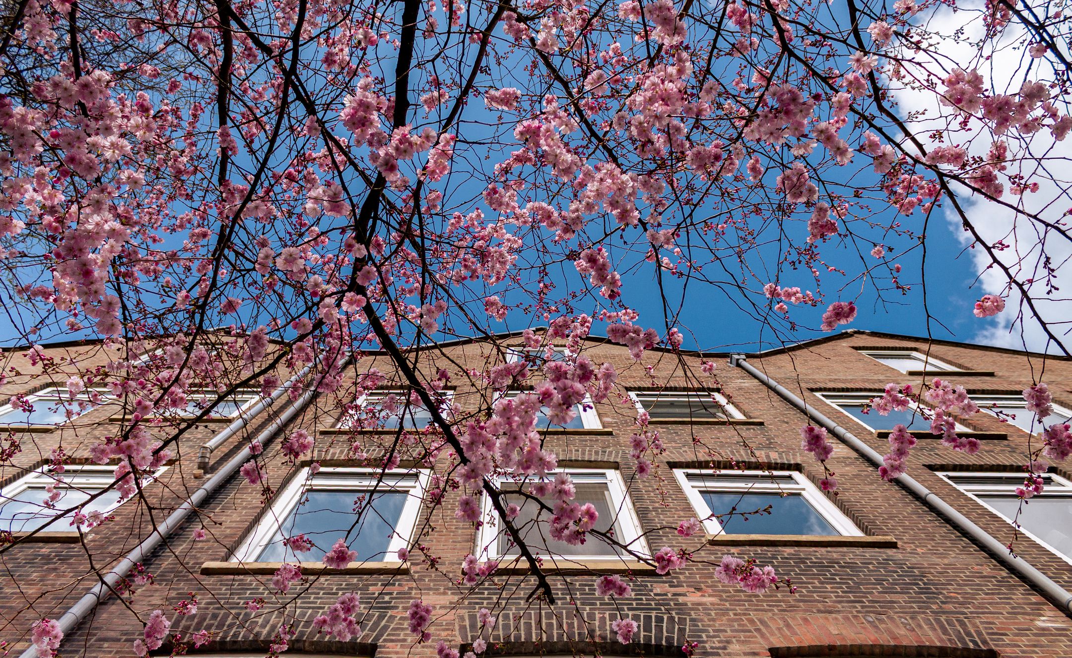 Foto 24 van Haarlemmerweg 49-H