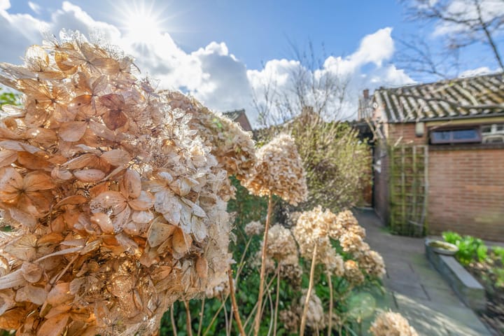 Foto 28 van van Speykstraat 71