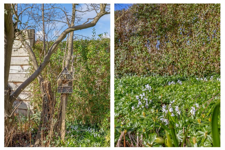 Foto 30 van van Speykstraat 71