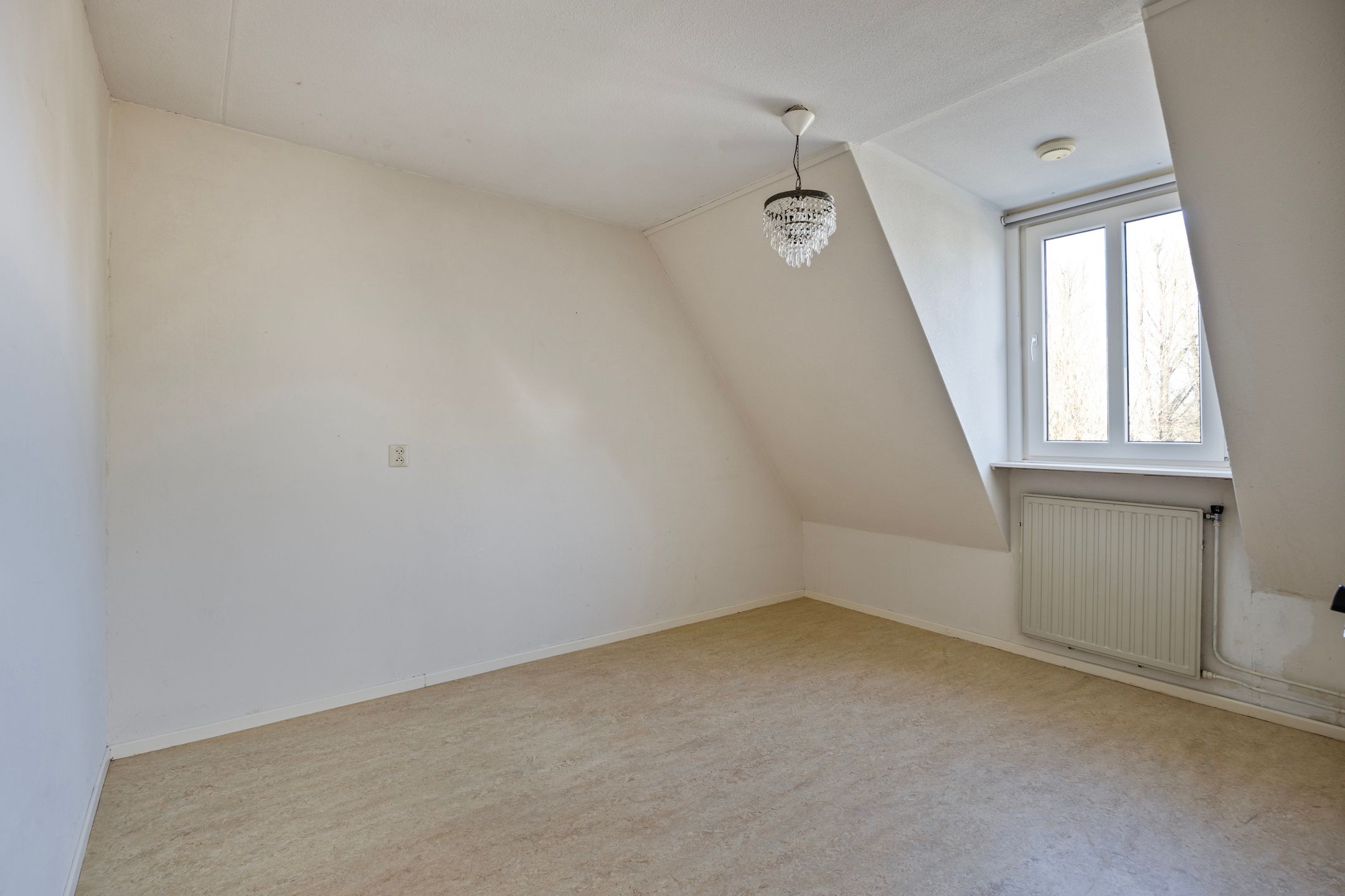 Foto 21 van Rietdekker 27