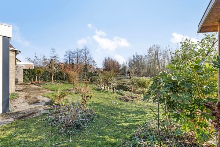 Foto 31 van Rietdekker 27