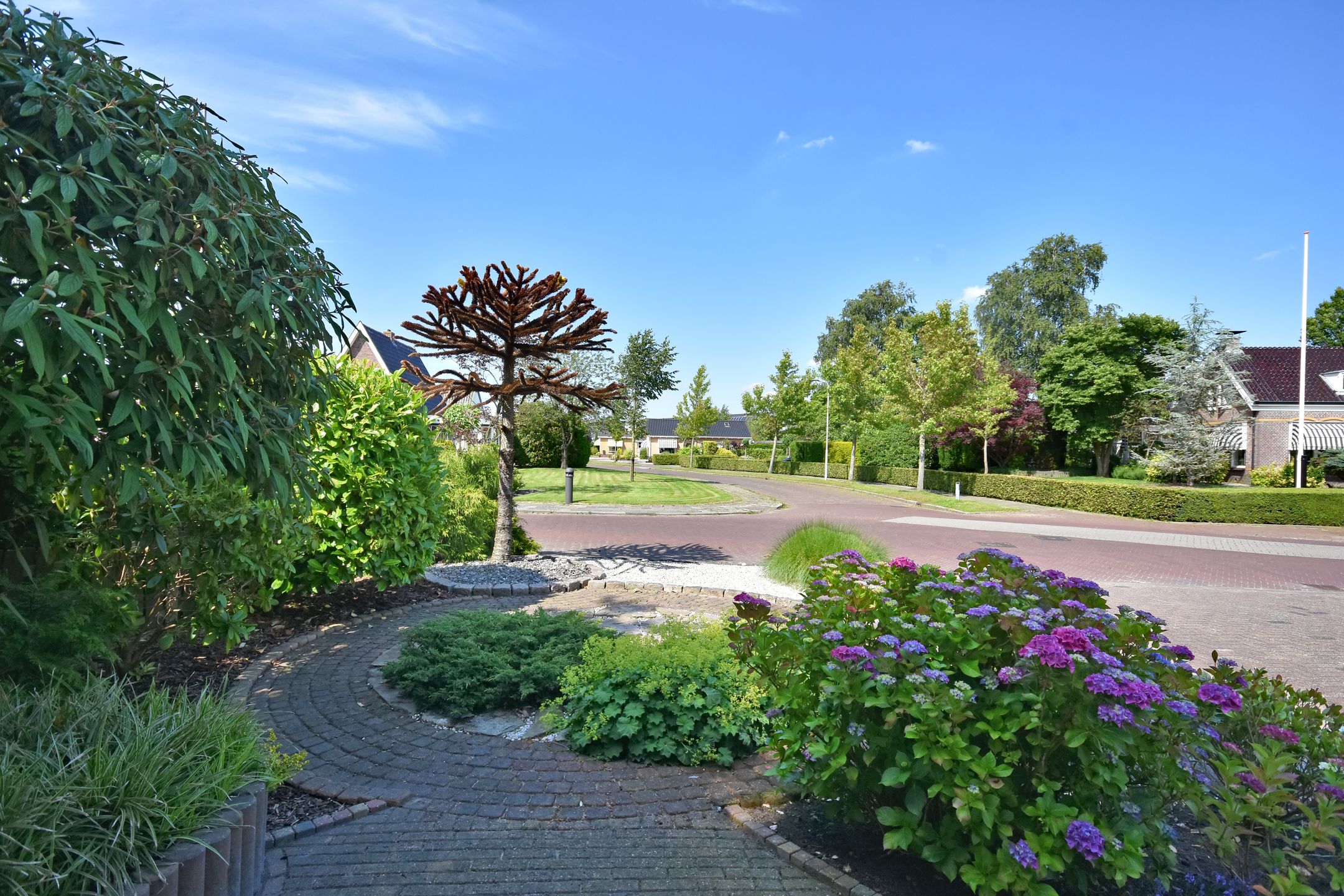 Foto 3 van Skoallestrjitte 36