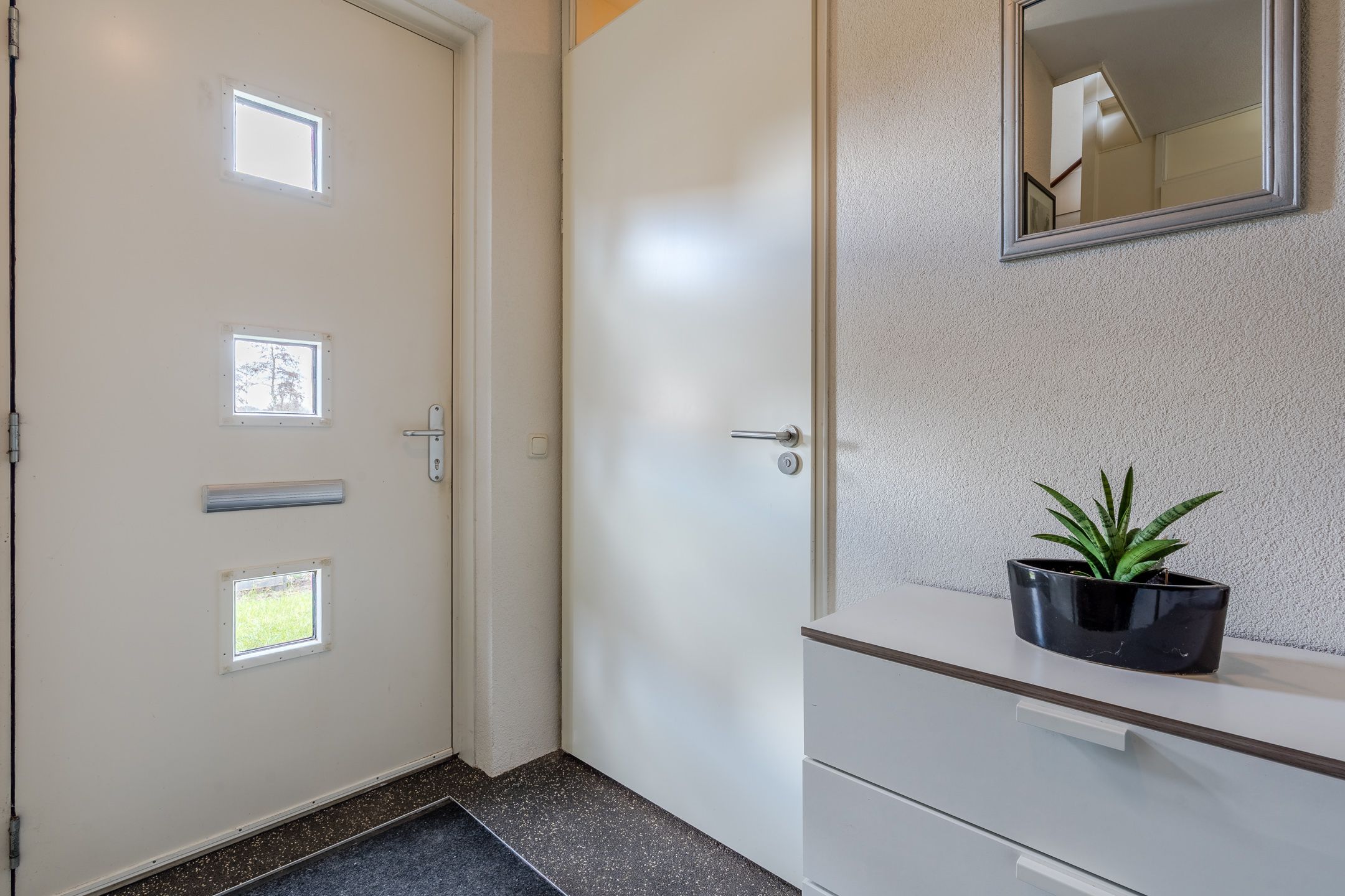 Foto 12 van Valeriaan 34