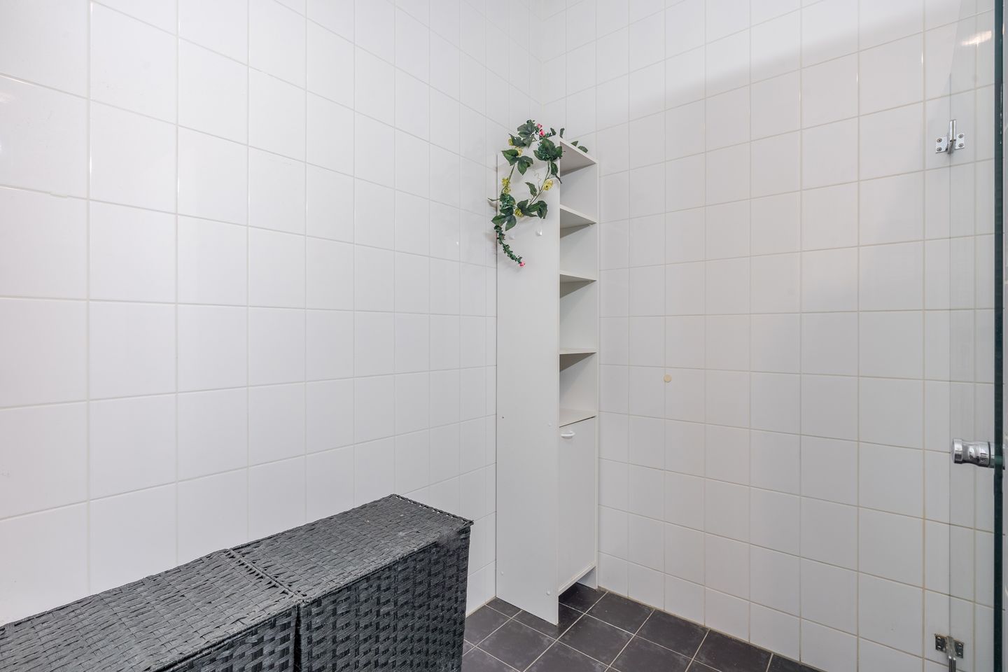 Foto 25 van Valeriaan 34