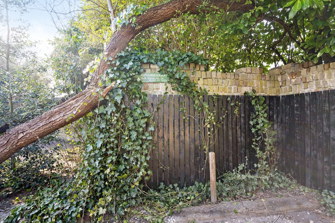 Foto 43 van Meerdijk 72