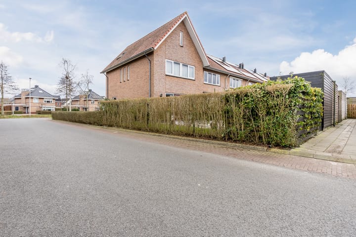 Foto 31 van Valeriaan 34