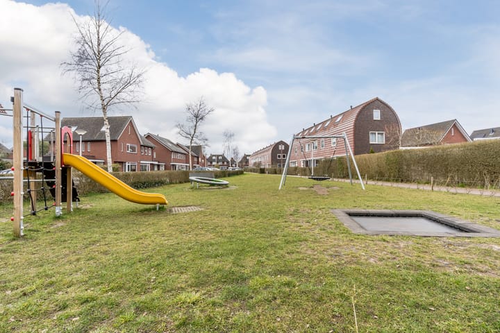 Foto 35 van Valeriaan 34