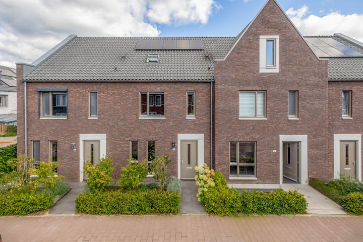 Foto 1 van Lenteregen 19