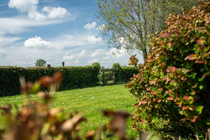 Foto 19 van Hôflân 8020