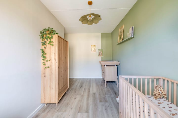 Foto 24 van Lenteregen 19