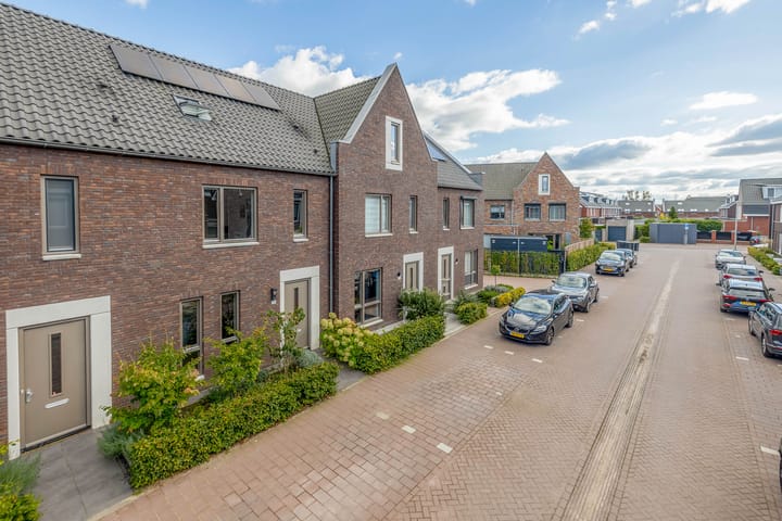 Foto 41 van Lenteregen 19