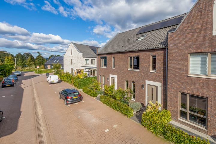 Foto 42 van Lenteregen 19