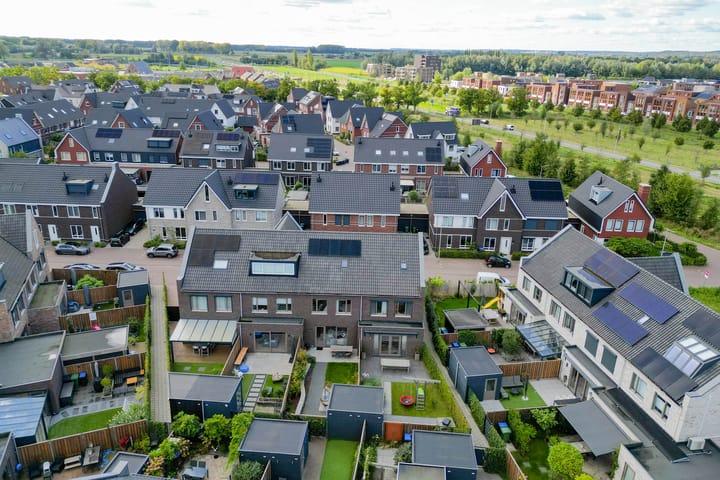 Foto 47 van Lenteregen 19