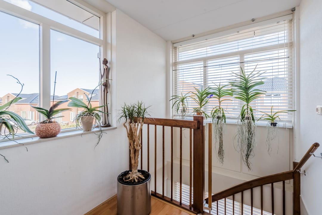 Photo 28 of Windrecht 40