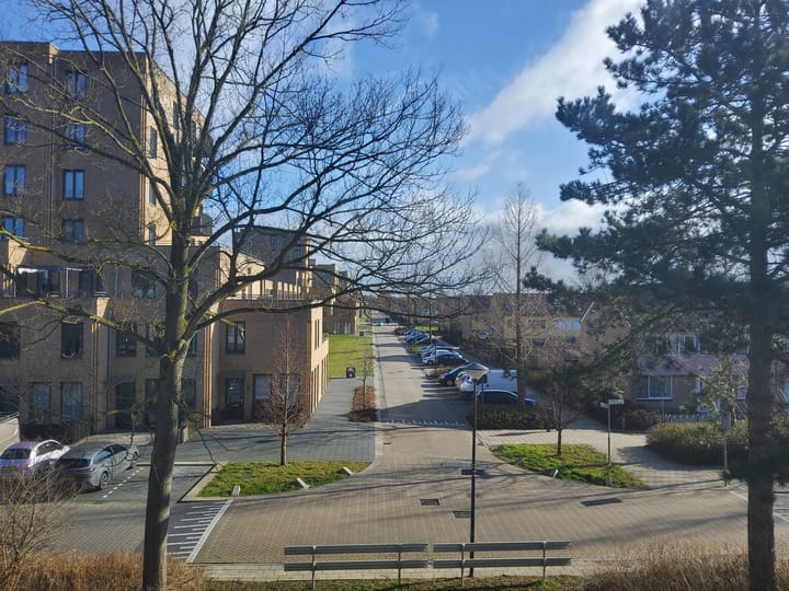 Foto 23 van Boogschutter 19