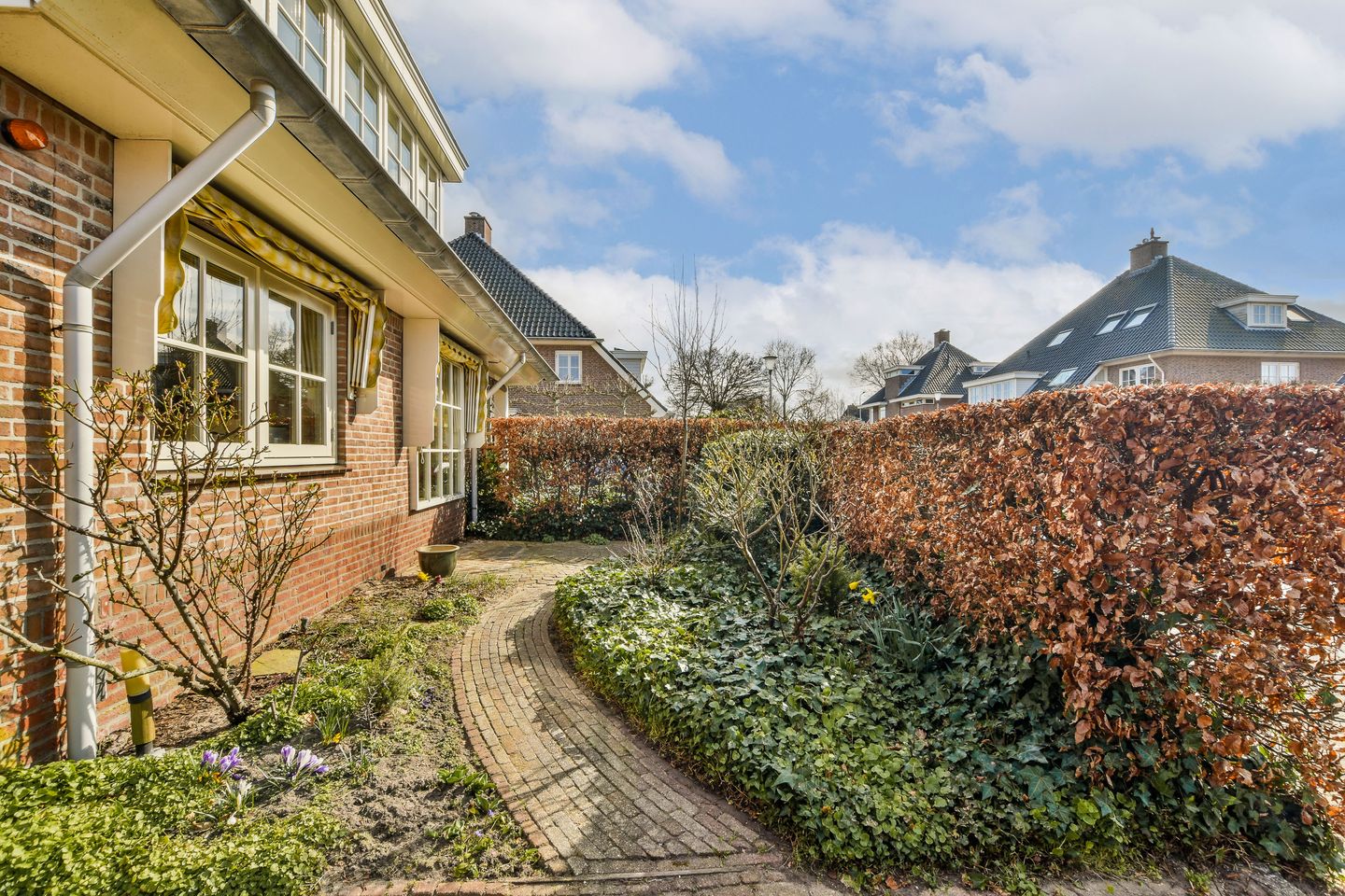 Foto 4 van Wildrijklaan 23