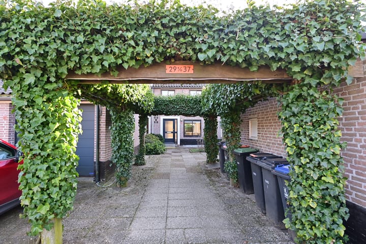 Foto 2 van Steenkarper 31