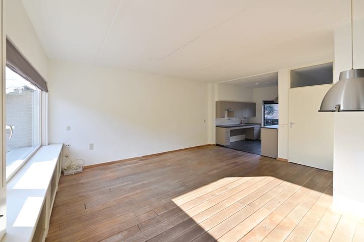 Foto 4 van Steenkarper 31