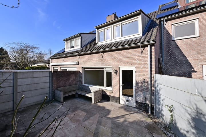 Photo 16 of Steenkarper 31