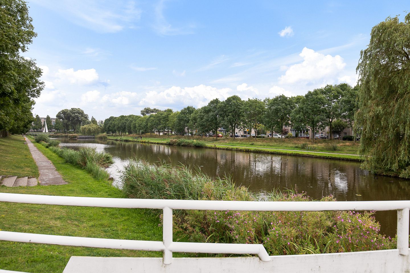 Foto 44 van Haya van Somerensingel 109