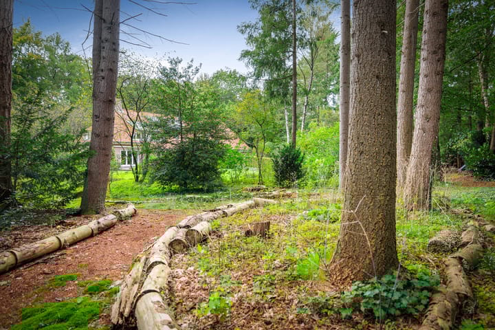 Foto 8 van Sparrenlaan 14