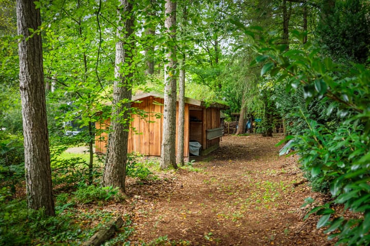 Foto 55 van Sparrenlaan 14