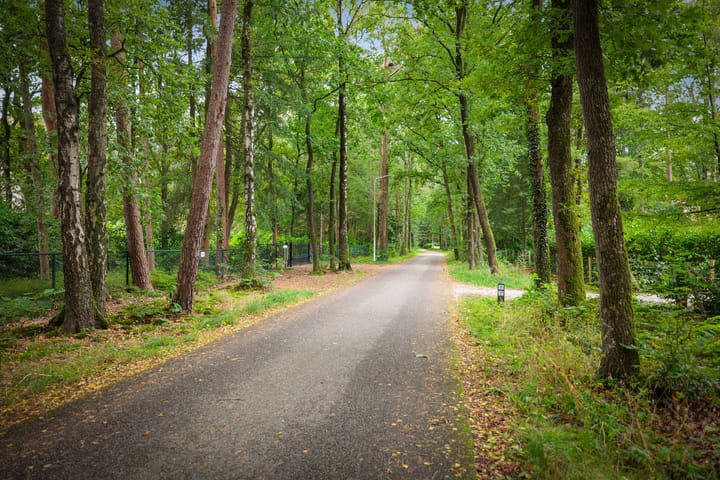 Foto 49 van Sparrenlaan 14