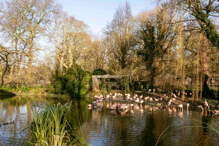 Foto 23 van Plantage Badlaan 8-B