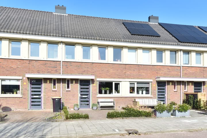 undefined main image