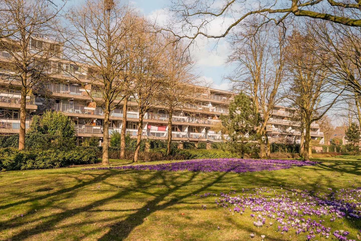 Foto 1 van Dubbelhof 43