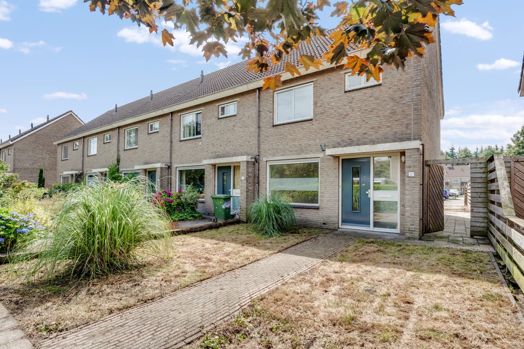 Foto 1 van Zwarte Kraai 51