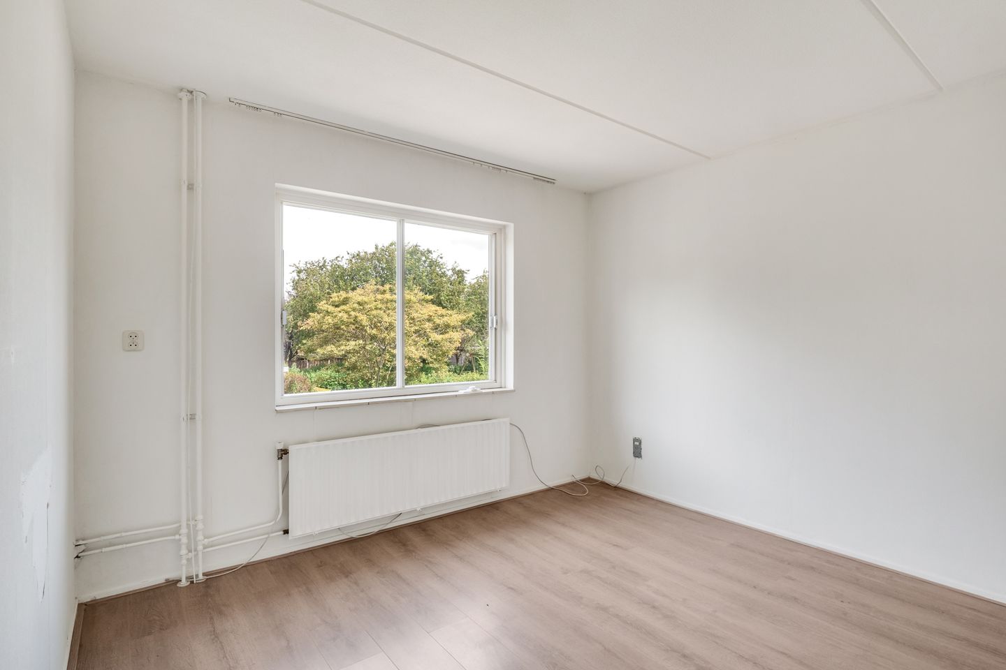 Foto 10 van Zwarte Kraai 51